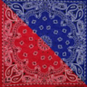 Meet your Posher, Kayden